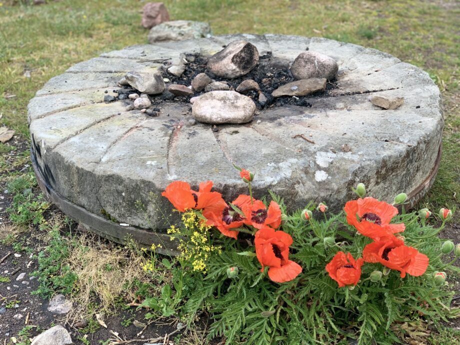 earth-connection-spring.jpg
