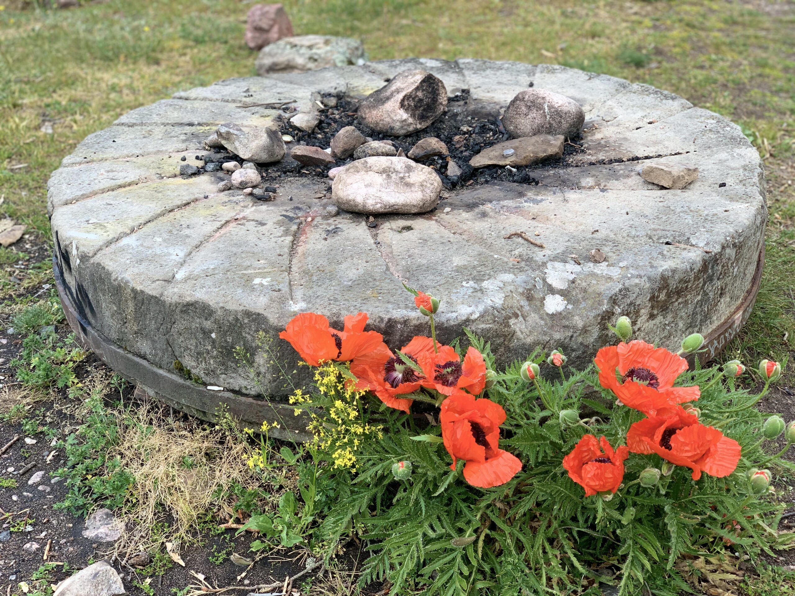 Earth Connection and Nature’s Wisdom